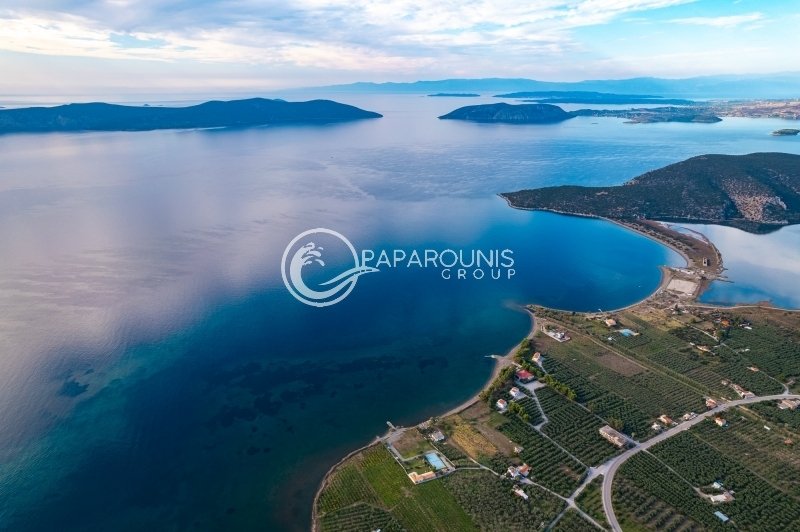 Land in Koinotita Thermisias, Ermioni, Greece 3 - 14024710