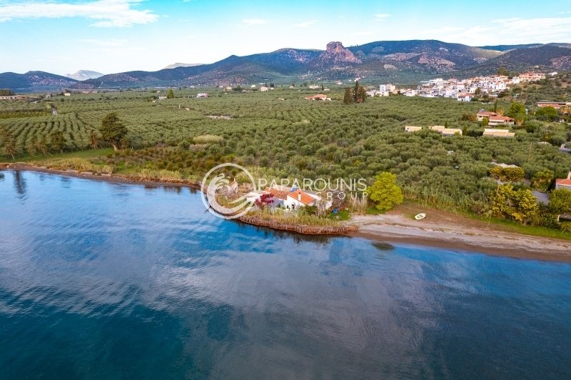 Land in Koinotita Thermisias, Ermioni, Greece 5 - 14024710