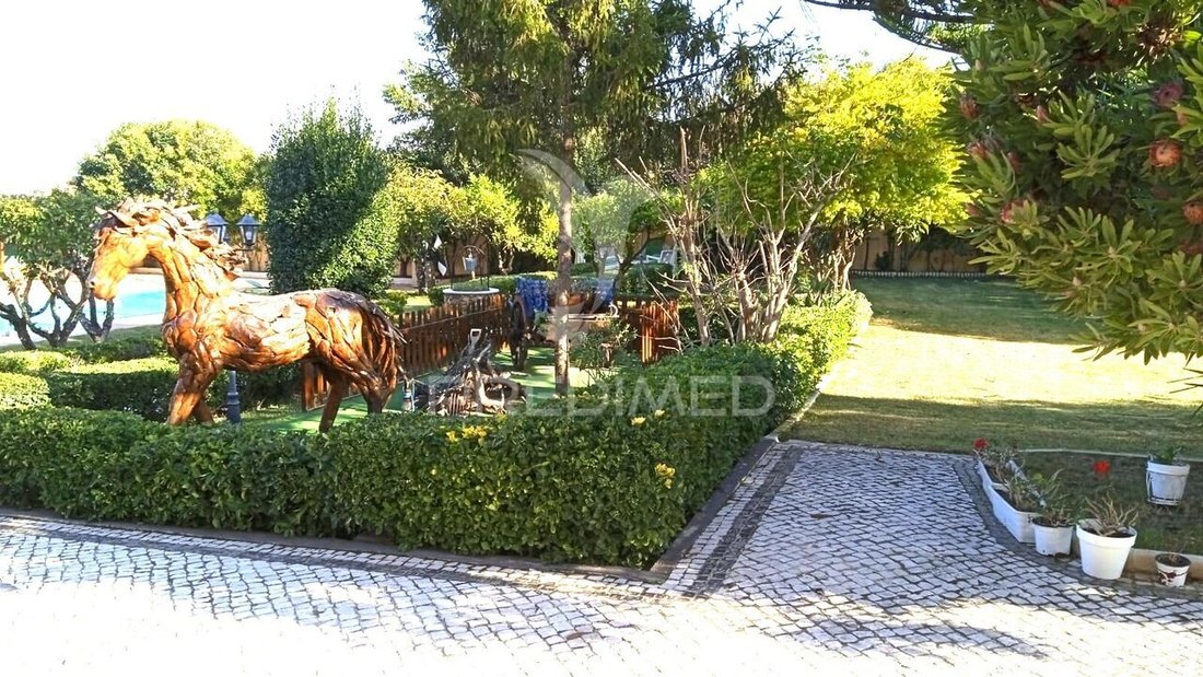 Farm Ranch in Benedita, Leiria District, Portugal 1 - 14031369