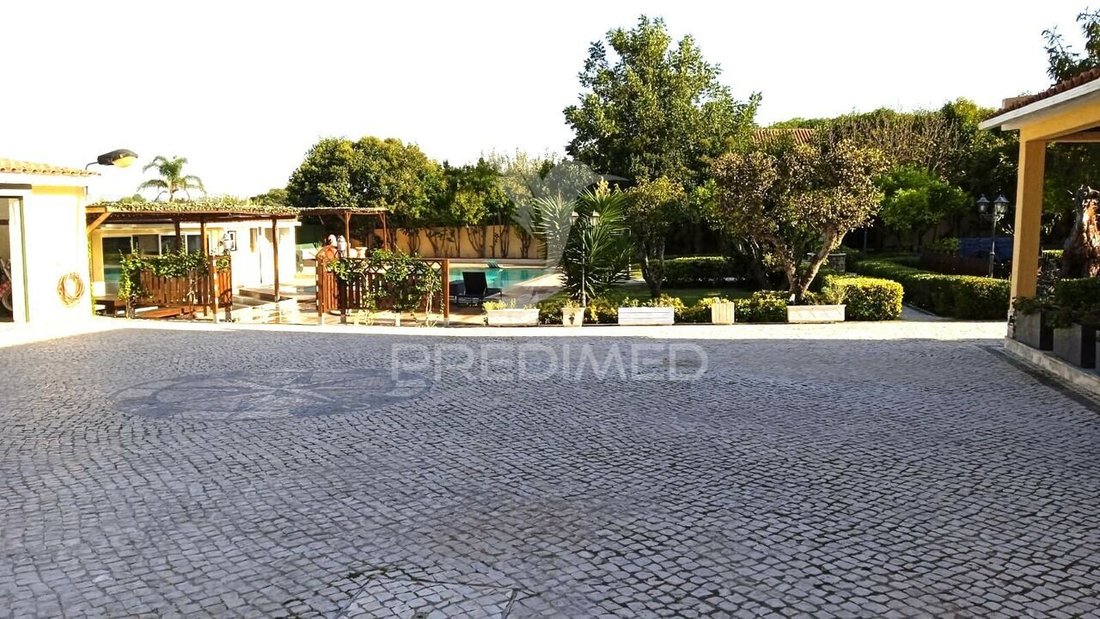 Farm Ranch in Benedita, Leiria District, Portugal 4 - 14031369