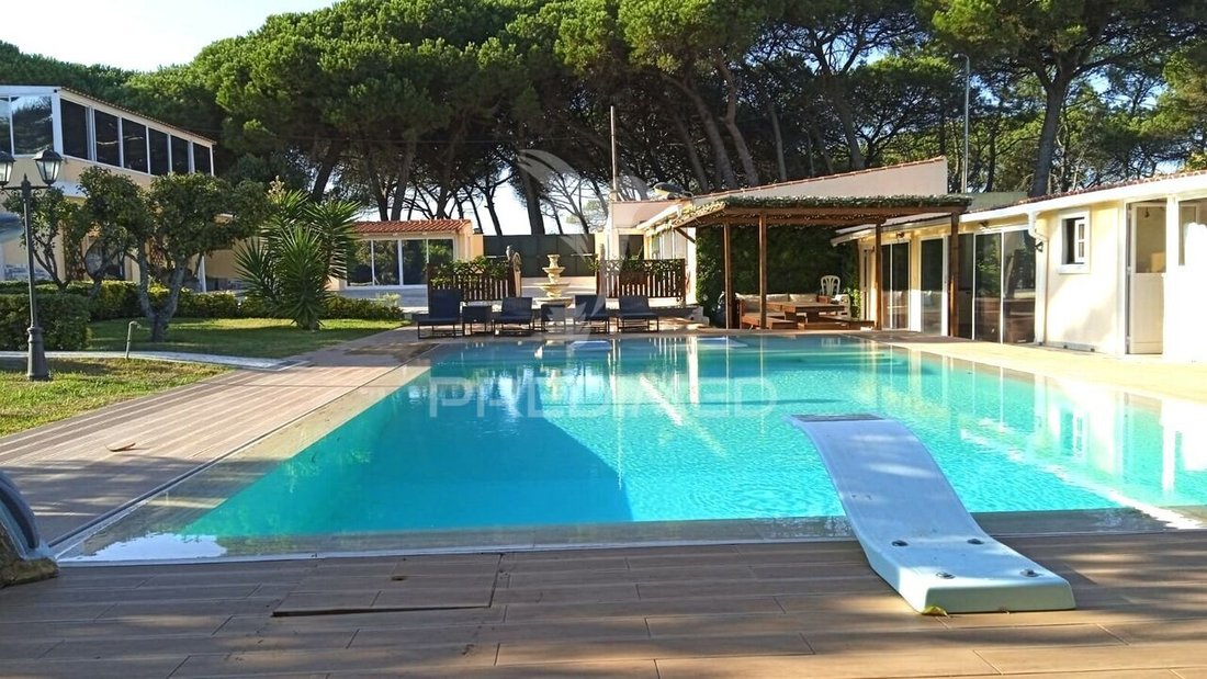 Farm Ranch in Benedita, Leiria District, Portugal 3 - 14031369