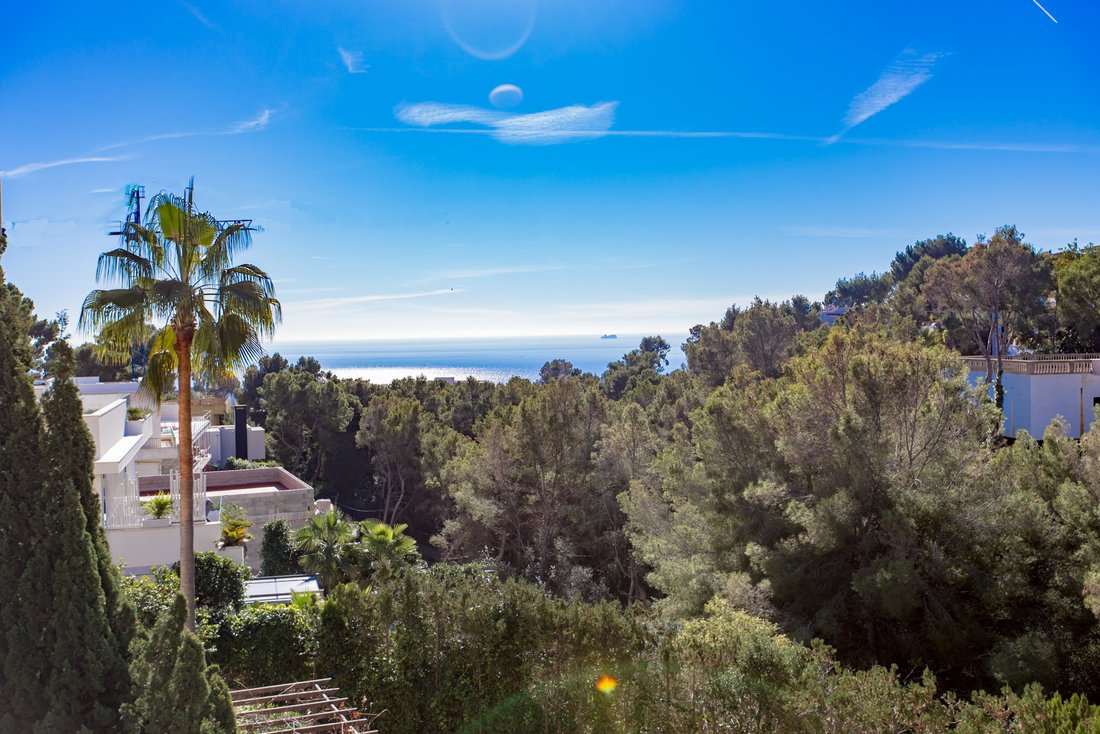 Villa in Costa d'en Blanes, Calvia, Balearic Islands 1 - 14032073