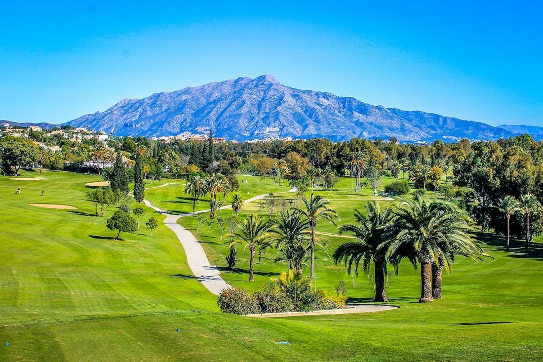 Land in Estepona, Andalusia, Spain 3 - 13379767