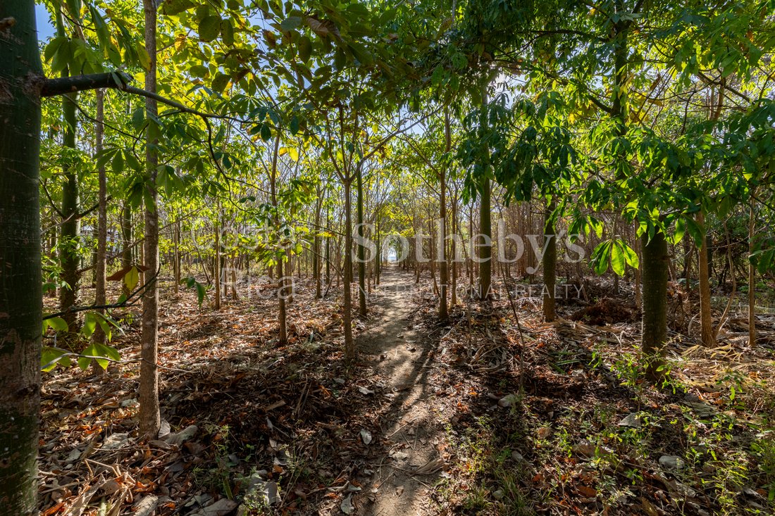 Condo in Nosara, Guanacaste Province, Costa Rica 5 - 14044282