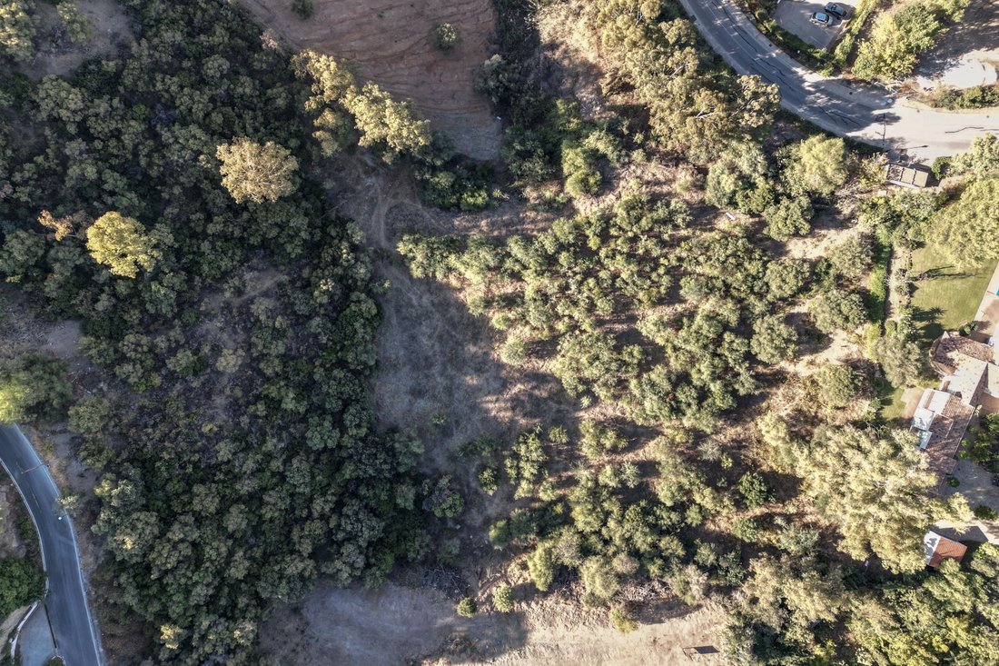 Terreno a Benahavís, Andalusia, Spagna 5 - 12589657
