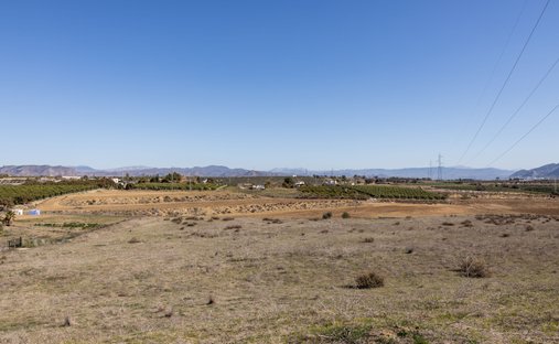 Land in Coin, Andalusia, Spain 1