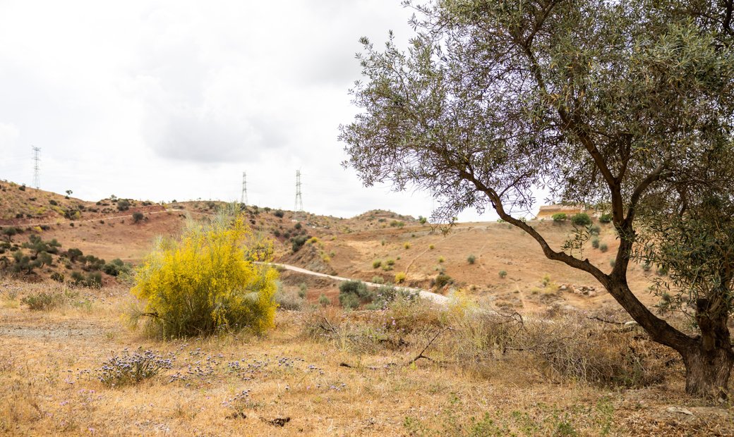 Land In Estacion De Cartama, Andalusia, Spain For Sale (13010949)