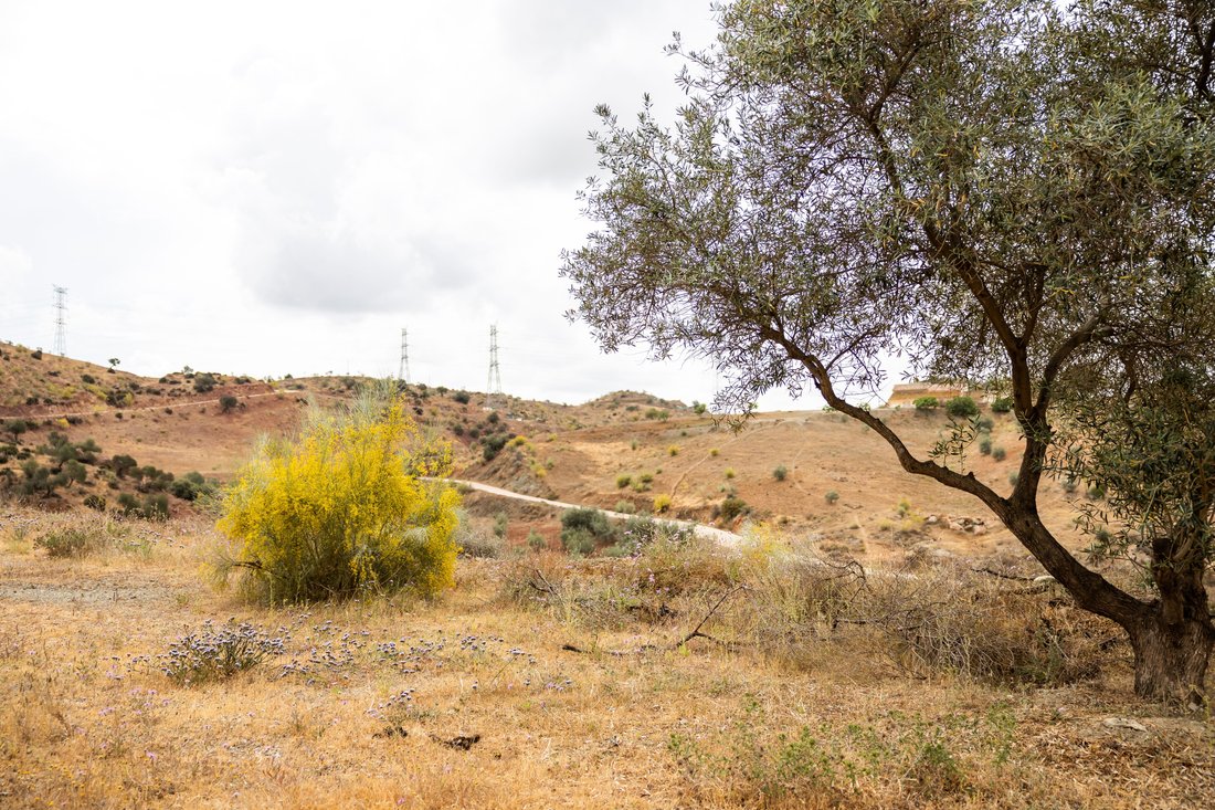 Terreno en Cártama, Andalucía, España 2 - 13010949