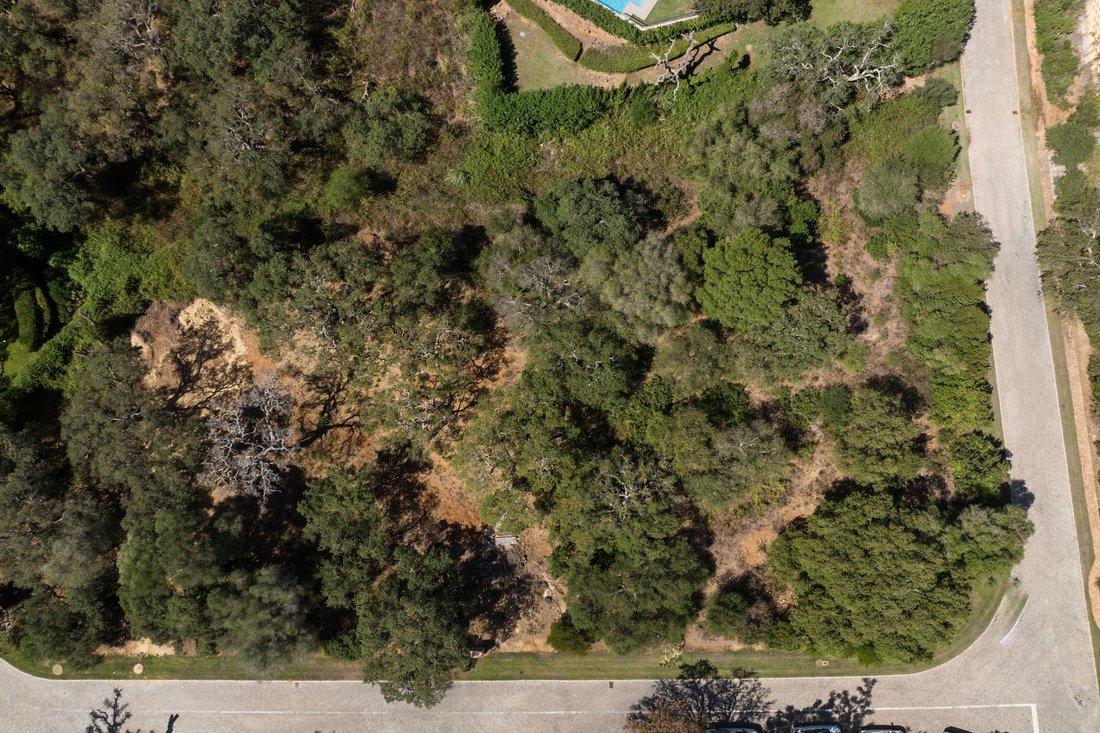 Terrain à Sotogrande, San Roque, Andalousie 1 - 13398350