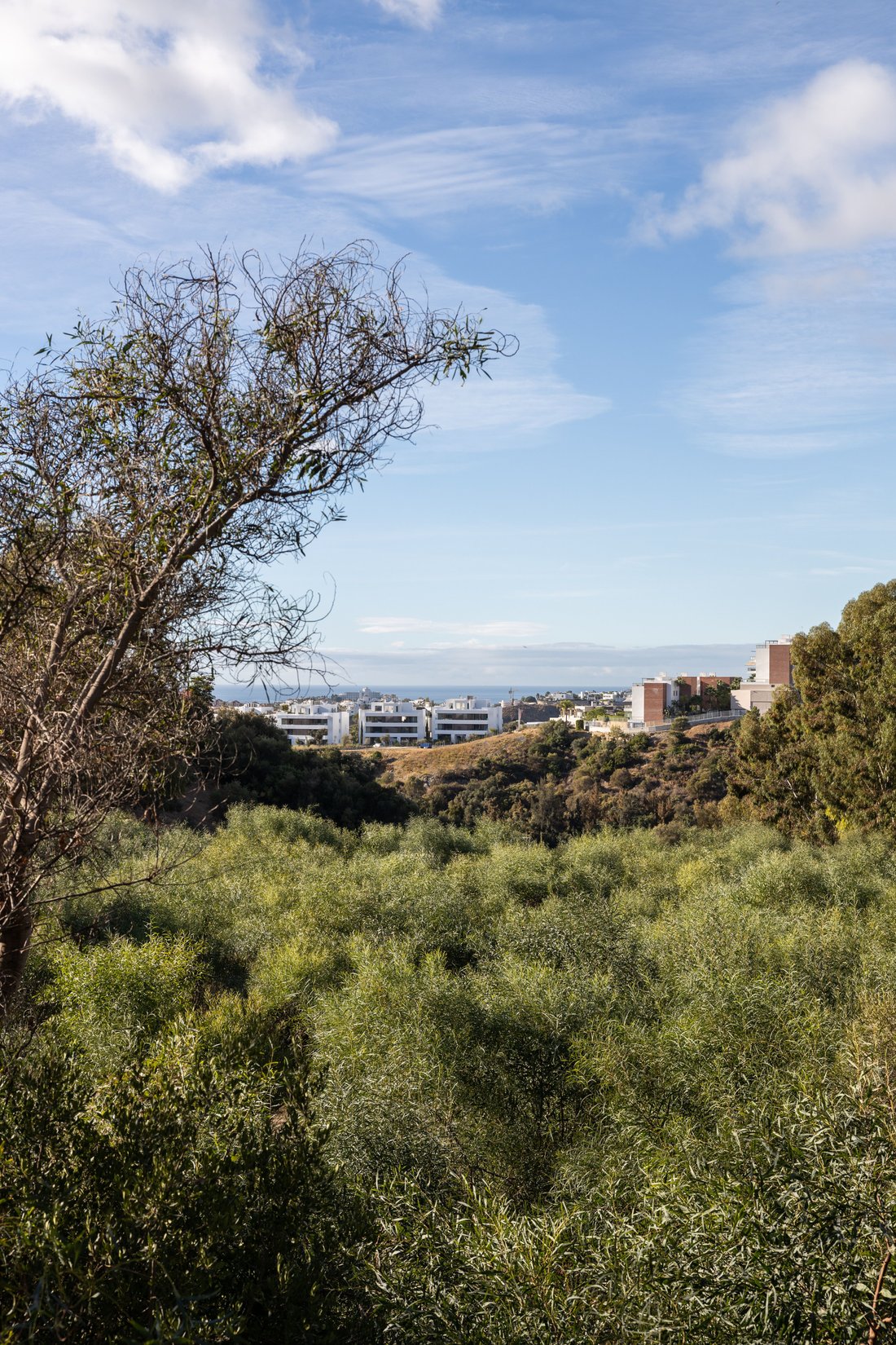 Terreno a Benahavís, Andalusia, Spagna 2 - 12589657
