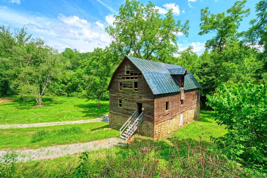 Washington, Virginia, United States 4 - 14044280