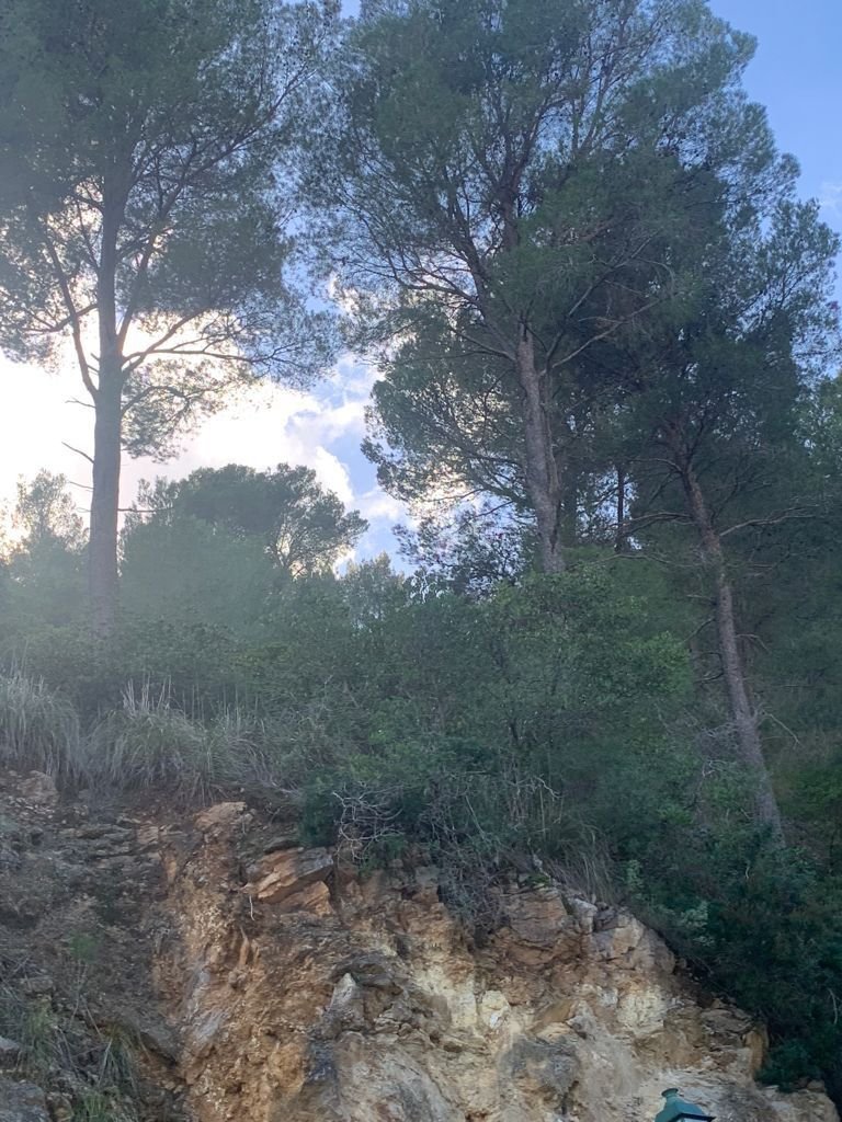 Son Vida, Palma, Balearic Islands 2 - 14045222