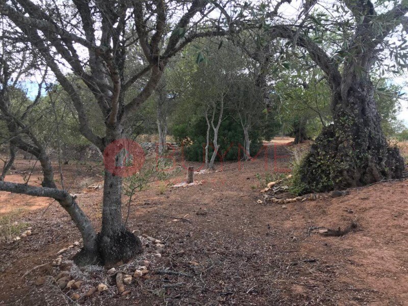 Land for sale in Loulé, Portugal — €549,000