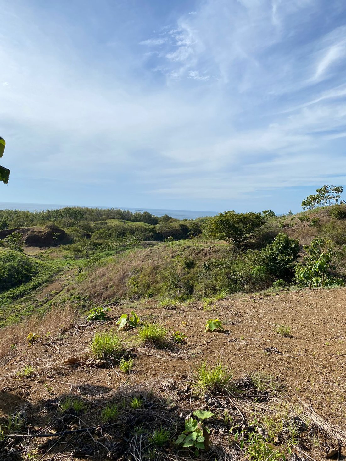 Farm Ranch in Las Escobas del Venado, Los Santos Province, Panama 5 - 14052926