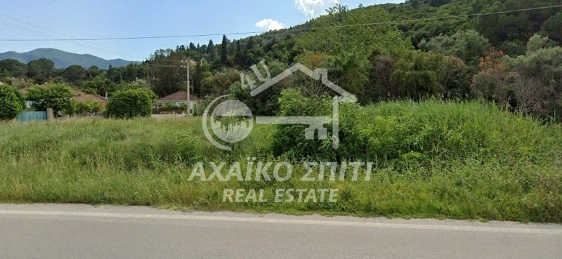 Land in Katounis, Peloponnese, Western Greece and the Ionian, Greece 5 - 14051076