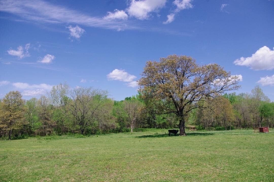 5 Bedrooms Farm/Ranch In Humansville, Missouri, United States For Sale