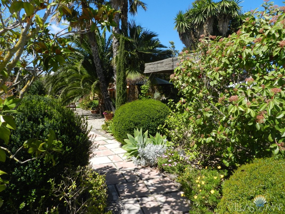 Finca in Teulada, Valencian Community, Spain 5 - 14061032