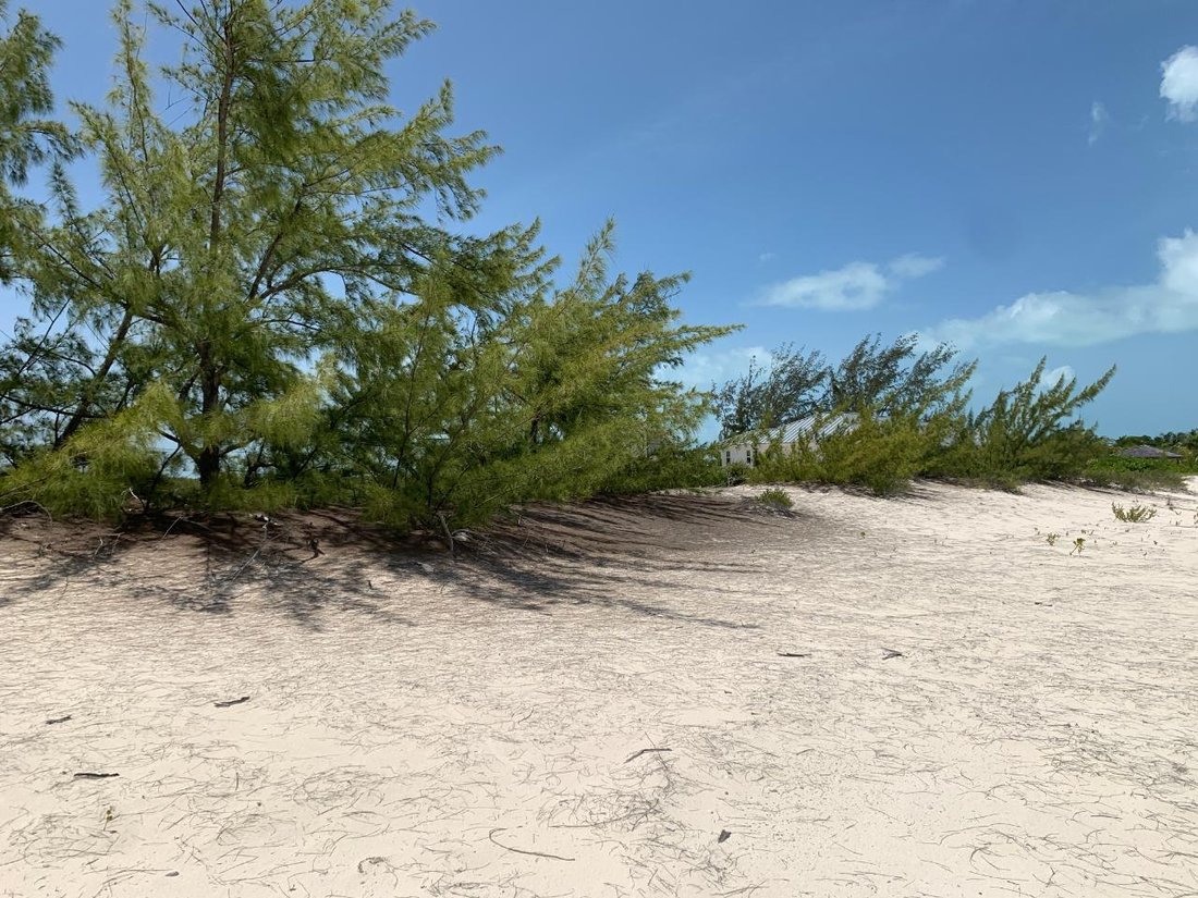 Terrain à Glenton Settlement, Long Island, Bahamas 5 - 14071110