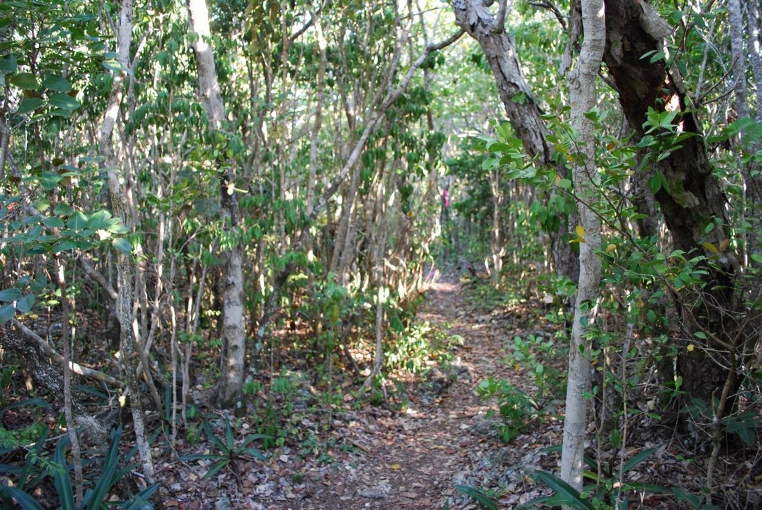 Land in Elbow Cay, Central Abaco, The Bahamas 4 - 14071125