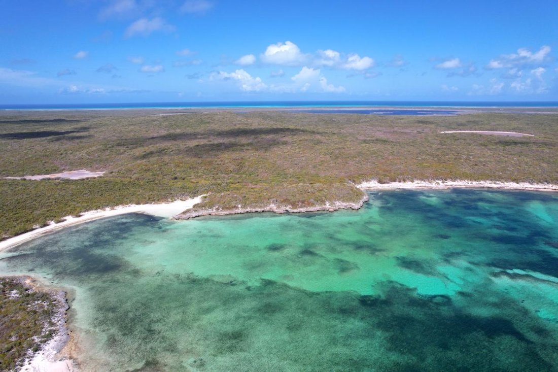 Terrain à Cabbage Point Settlement, Long Island, Bahamas 5 - 14071162