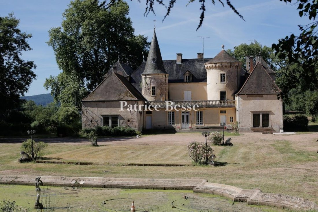Le Rêve Endormi: A Slumbering 18th-Century Domaine Awaiting Its Renaissance in Burgundy’s Golden Hills