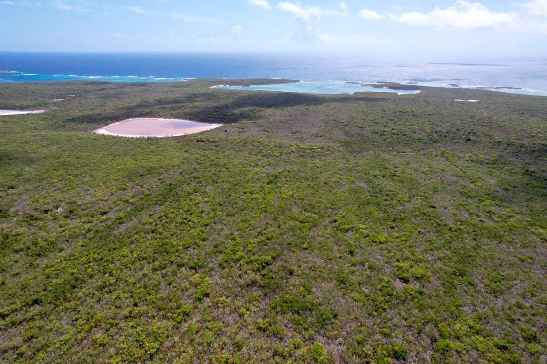 Terrain à Cabbage Point Settlement, Long Island, Bahamas 3 - 14071162