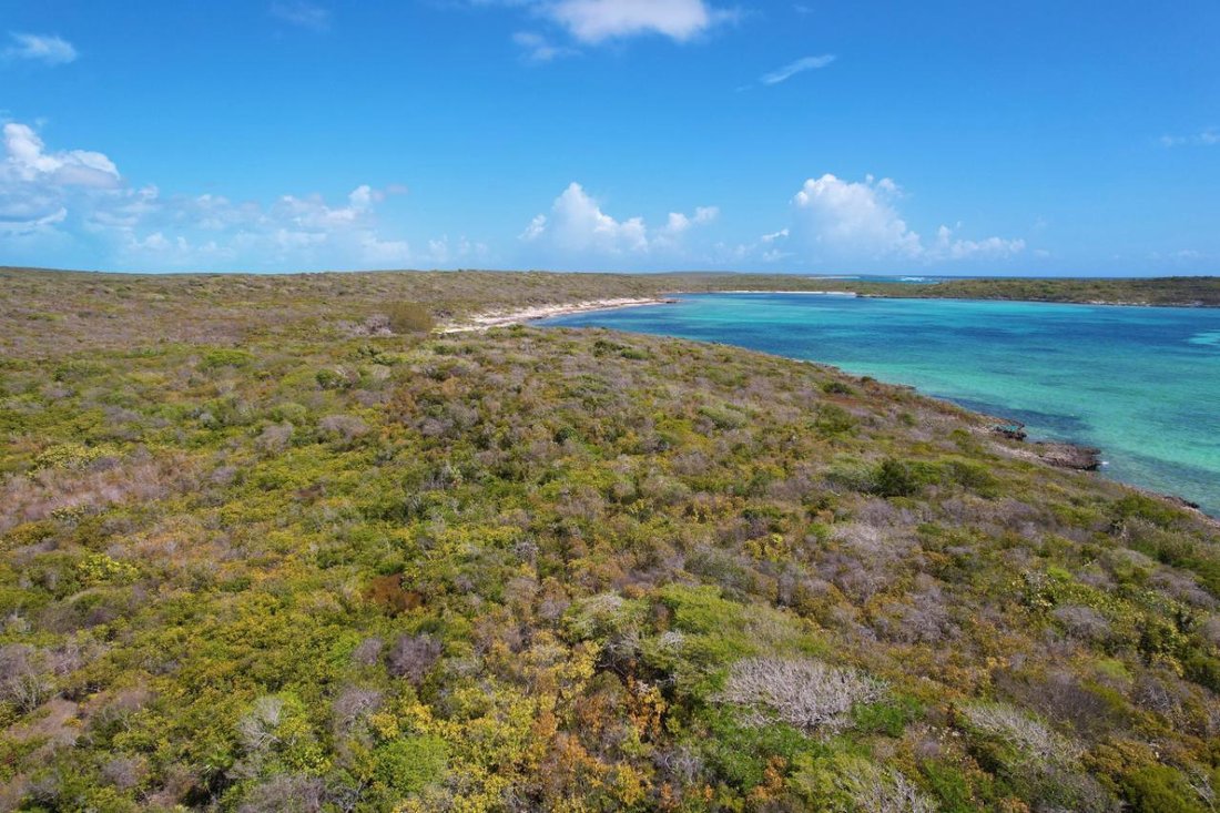 Terrain à Cabbage Point Settlement, Long Island, Bahamas 2 - 14071162