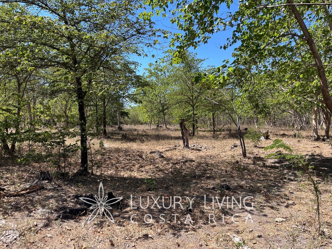 Land in Liberia, Guanacaste Province, Costa Rica 2 - 14069442