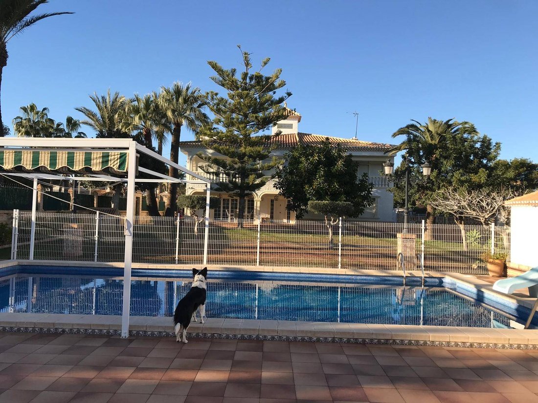 Chalet in Cabo Roig, Orihuela, Valencian Community 2 - 11996906