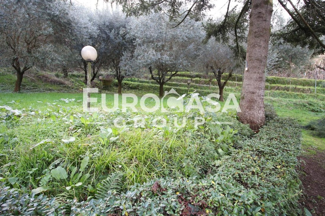 Villa in Montuolo - Fagnano, Lucca, Italy 4 - 14071534