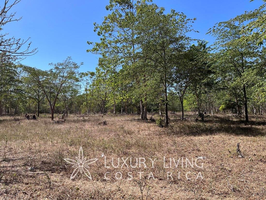 Land in Liberia, Guanacaste Province, Costa Rica 4 - 14069442