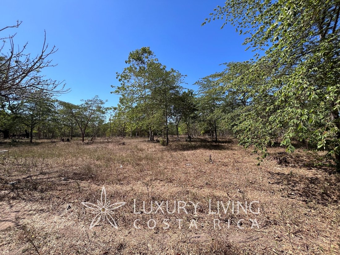 Land in Liberia, Guanacaste Province, Costa Rica 5 - 14069442