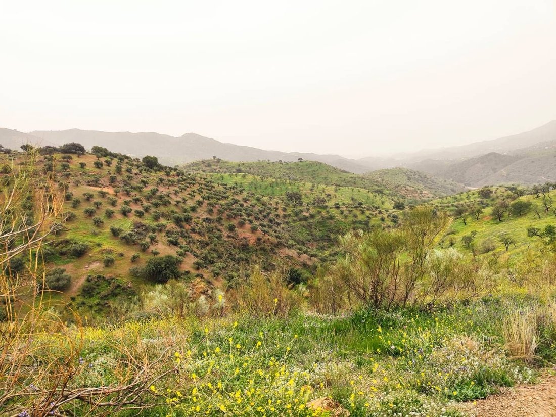 Terreno a Ciudad Jardín, Malaga, Spagna 5 - 14076815