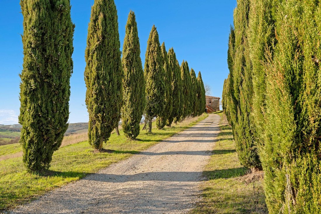 Country House in Trequanda, Tuscany, Italy 1 - 14077815