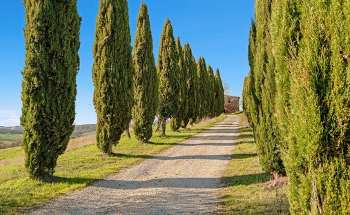 Country House in Trequanda, Tuscany, Italy 1