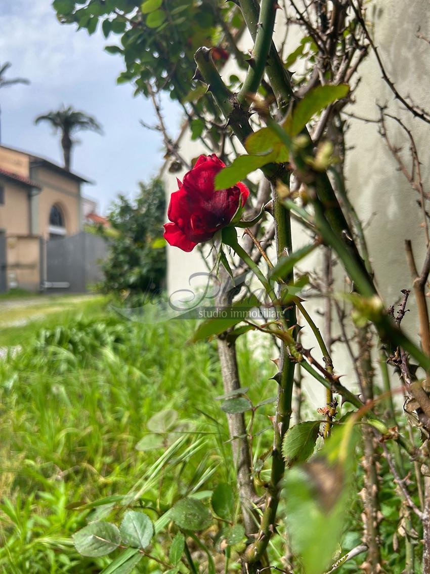 Villa in Porta a Mare - Cappuccini, Livorno, Tuscany 2 - 14077051