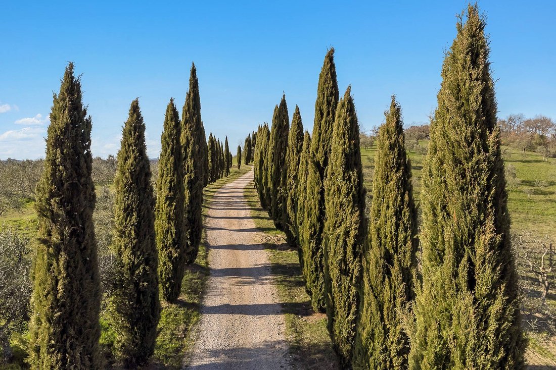 Country House in Trequanda, Tuscany, Italy 4 - 14077815