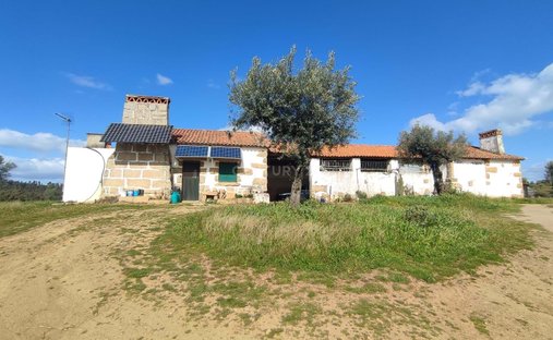 Azienda agricola a Escalos de Baixo, Distretto di Castelo Branco, Portogallo 1