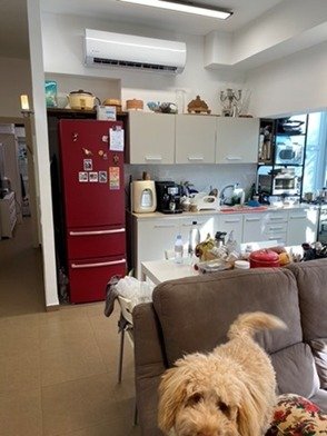 Apartment in Tel Aviv-Yafo, Tel Aviv District, Israel 3 - 14080050