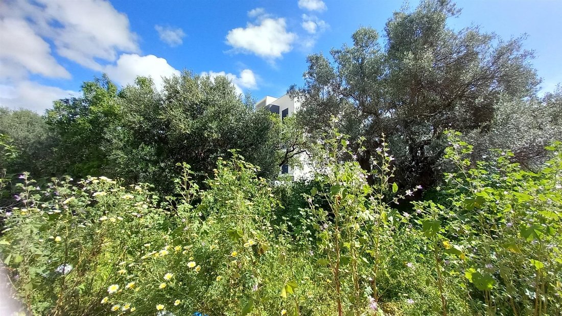 Land in Almancil, Algarve, Portugal 4 - 14081621