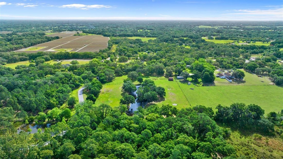 Thonotosassa Land In Thonotosassa, Florida, United States For Sale