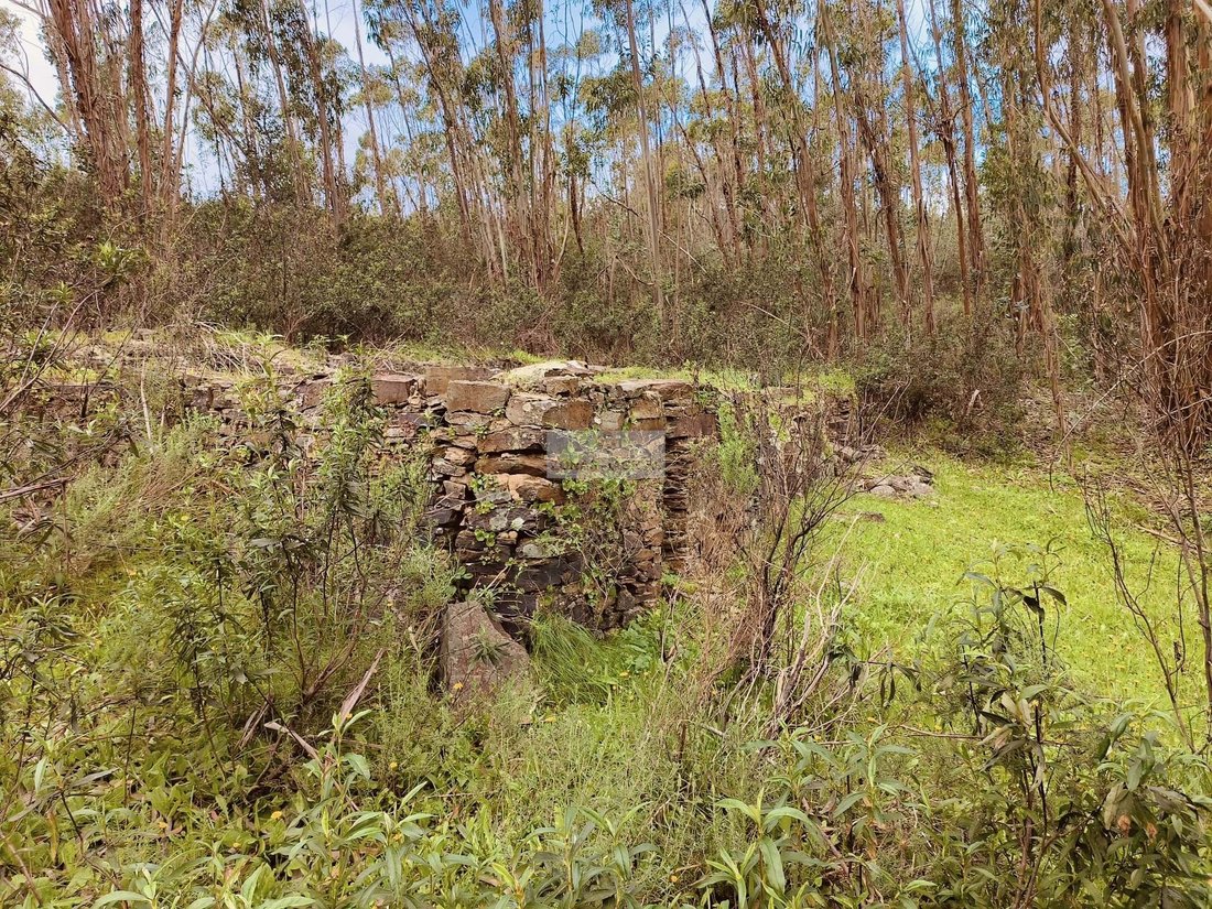 Land in Marmelete, Algarve, Portugal 5 - 14085880