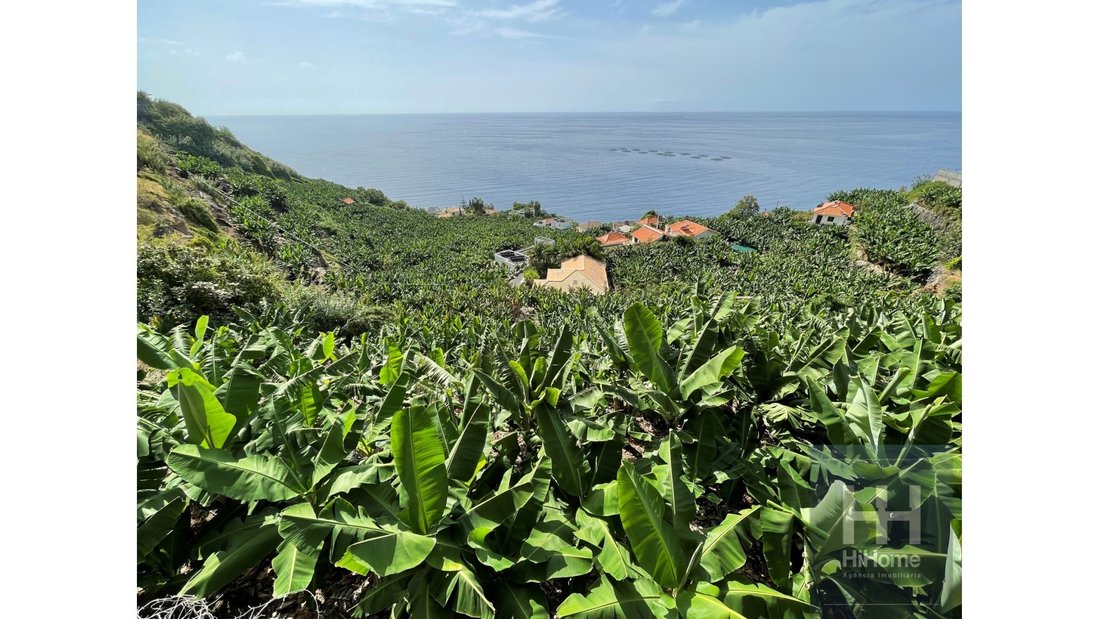 Land in Arco da Calheta, Autonome Region Madeira, Portugal 5 - 14065954