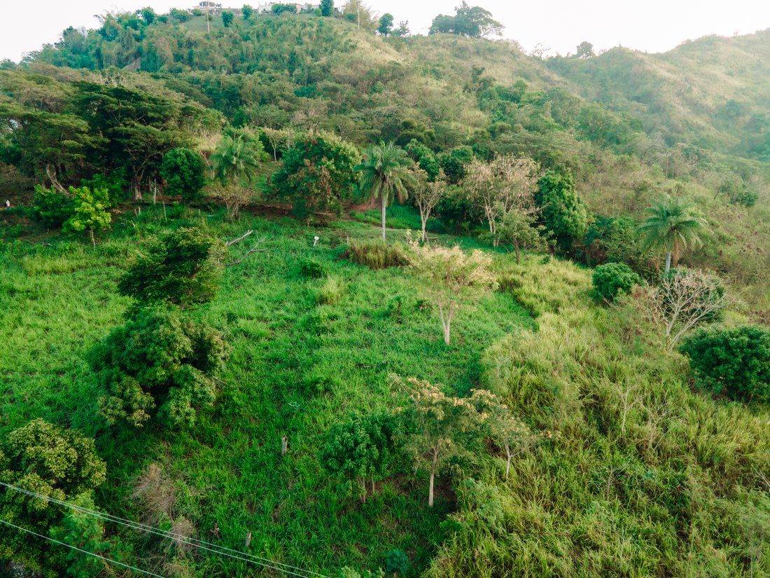 Jacks Hill Road In Stony Hill, St. Andrew Parish, Jamaica For Sale