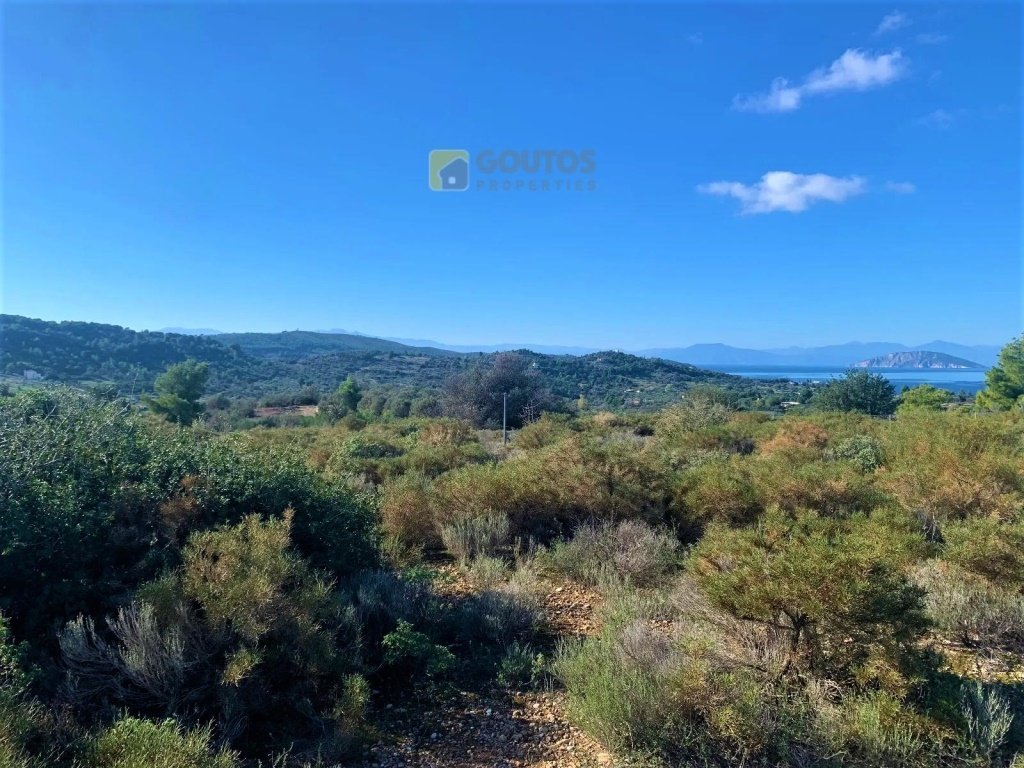 Land in Koinotita Kranidiou, Kranidi, Greece 4 - 14092343