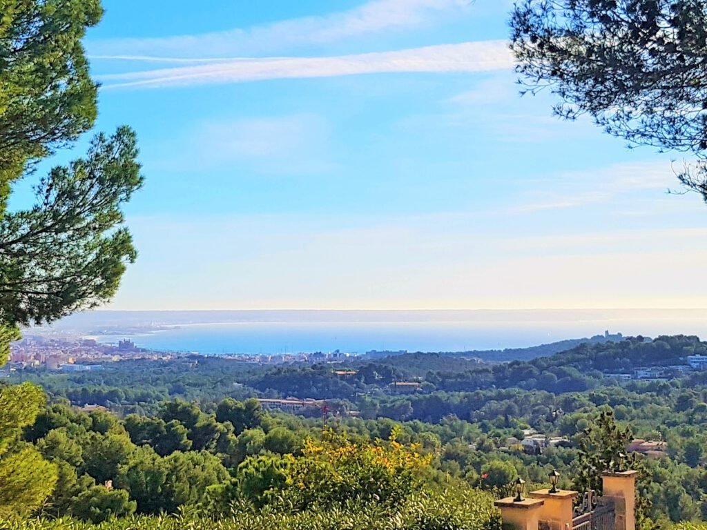 Land in Palma, Balearic Islands, Spain 1 - 14091053