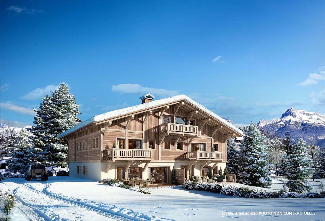 Apartment in Combloux, Auvergne-Rhône-Alpes, France 1 - 13852857