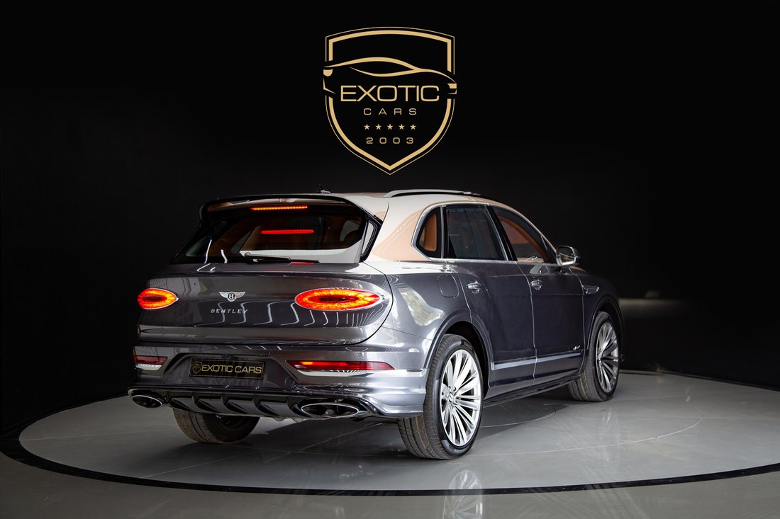 Suv in Dubai, Dubai, United Arab Emirates 4 - 14095777