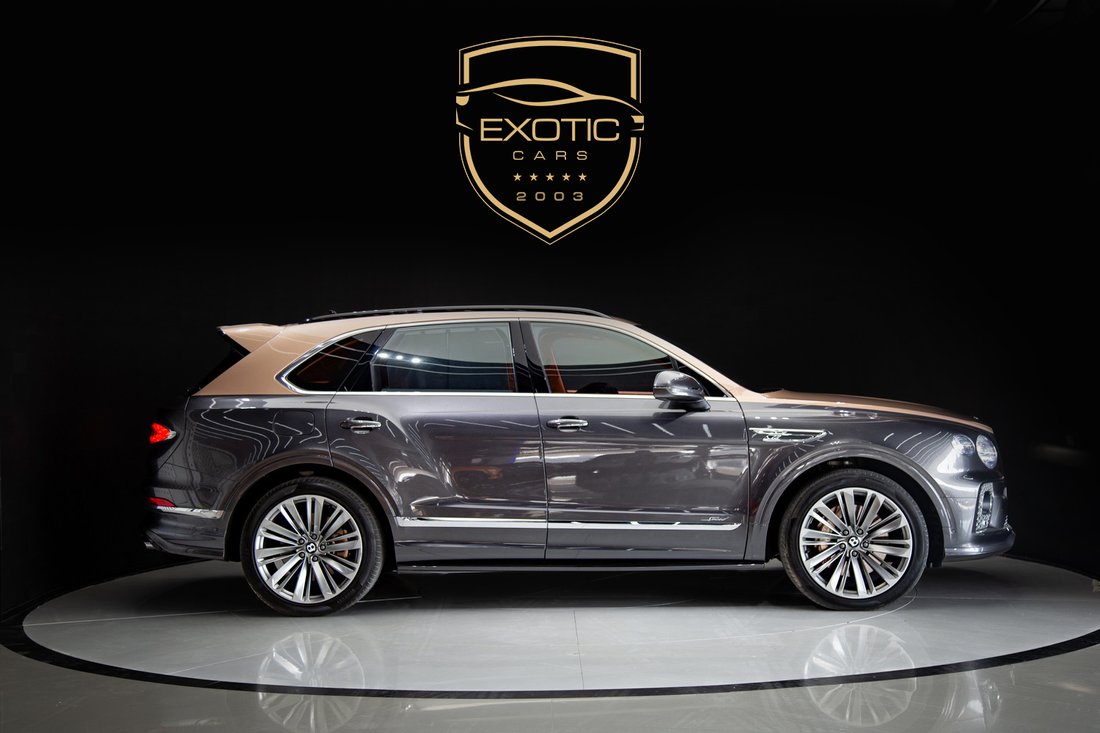 Suv in Dubai, Dubai, United Arab Emirates 3 - 14095777