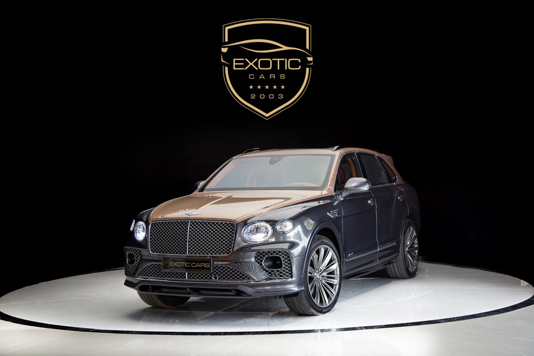 Suv in Dubai, Dubai, United Arab Emirates 1 - 14095777